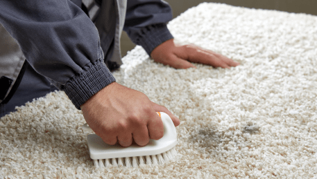 Professional Rug Cleaning Somerton